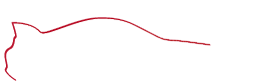 FDT Sportscars B.V. – Quality Imports